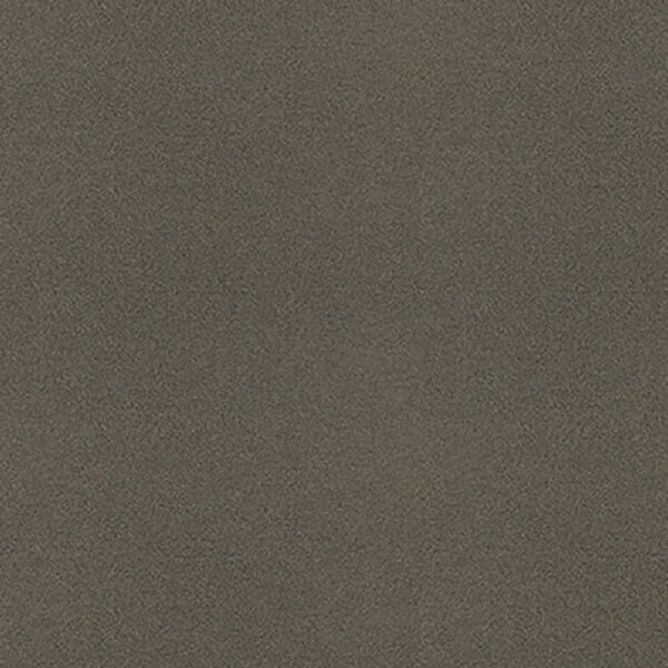 3M ダイノック EXシリーズ（屋外耐候性フィルム） PA-389EX 1220mm×切売