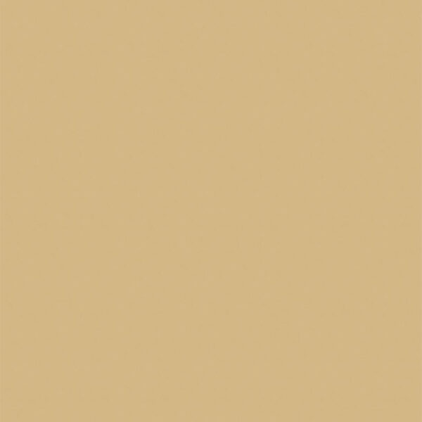 リアテック カラー TX-5352 EGGSHELL MATTE 1220mm×切売