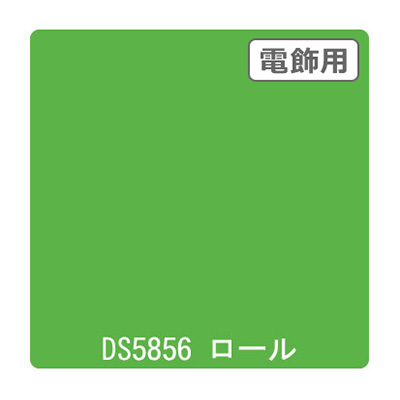 ダイナカル DSシリーズ DS5856 ブライトグリーン 1020mm×10m