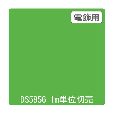 ダイナカル DSシリーズ DS5856 ブライトグリーン 1020mm×切売