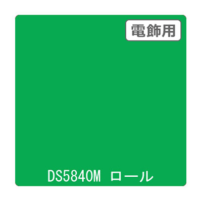 ダイナカル DSシリーズ DS5840M リバーサイドグリーン 1020mm×10m