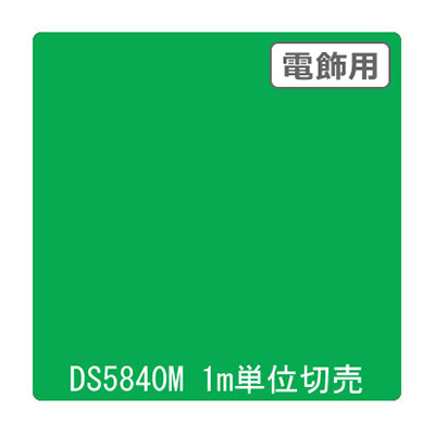 ダイナカル DSシリーズ DS5840M リバーサイドグリーン 1020mm×切売