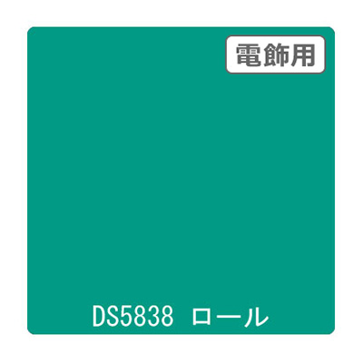 ダイナカル DSシリーズ DS5838 スプリングノート 1020mm×10m