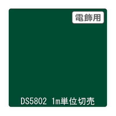 ダイナカル DSシリーズ DS5802 ビリジャン 1020mm×切売