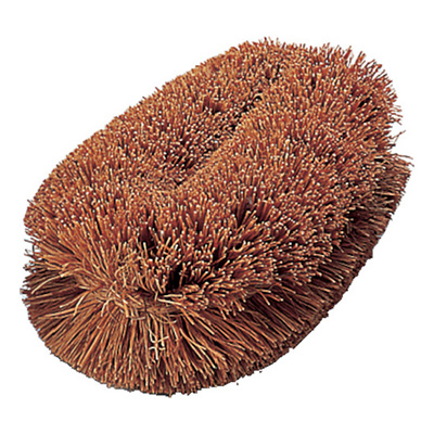 トラスコ TRUSCO ナチュラルブラシ 「いがぐり君」 TW-M 176-9774 (商品コード：166283)