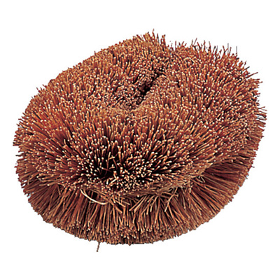 トラスコ TRUSCO ナチュラルブラシ 「いがぐり君」 TW-L 176-9766 (商品コード：166284)