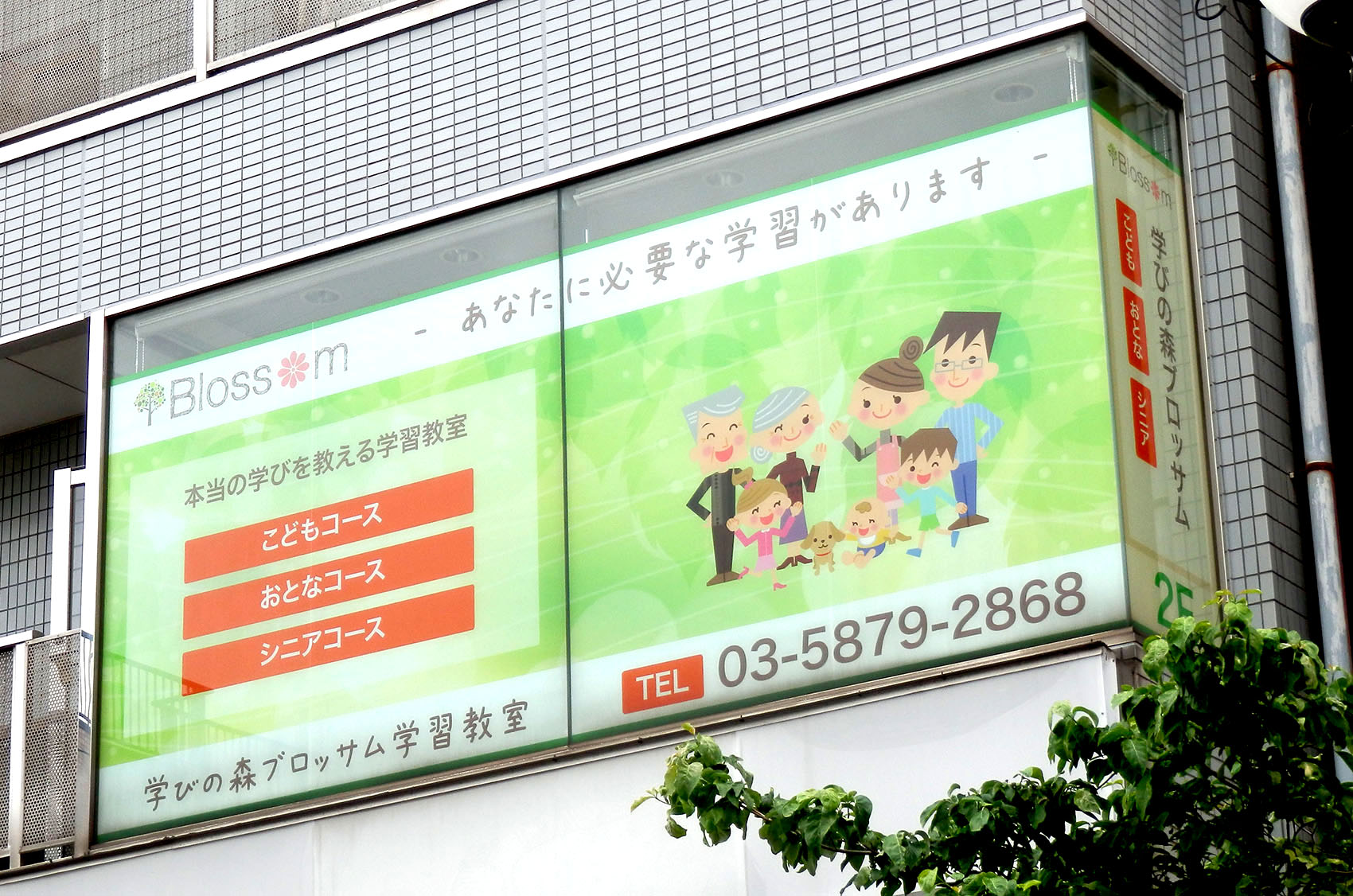 ウィンドウサイン